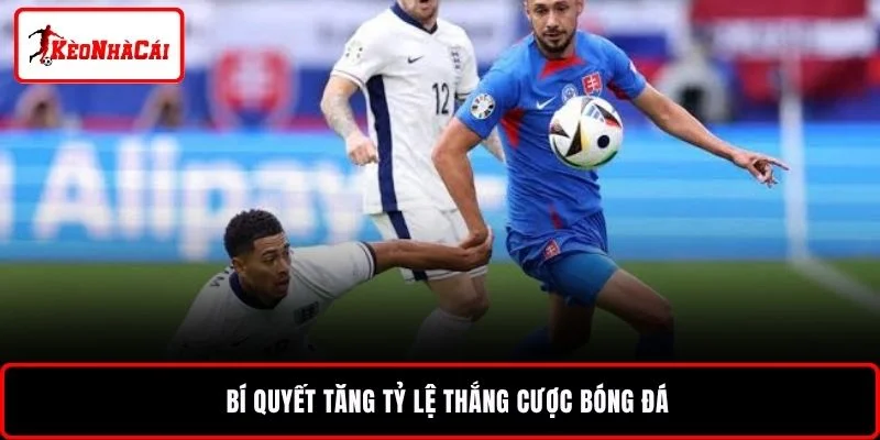 Bí quyết tăng tỷ lệ thắng cược bóng đá